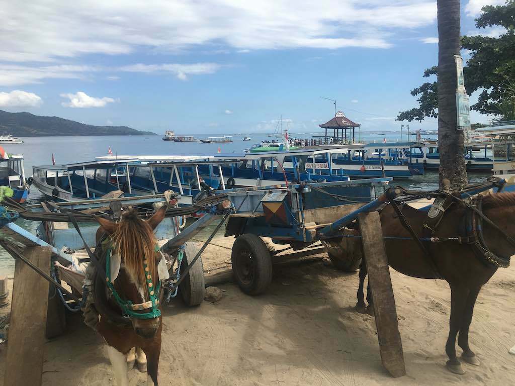 Gili Islands vs Nusa Penida horse ride